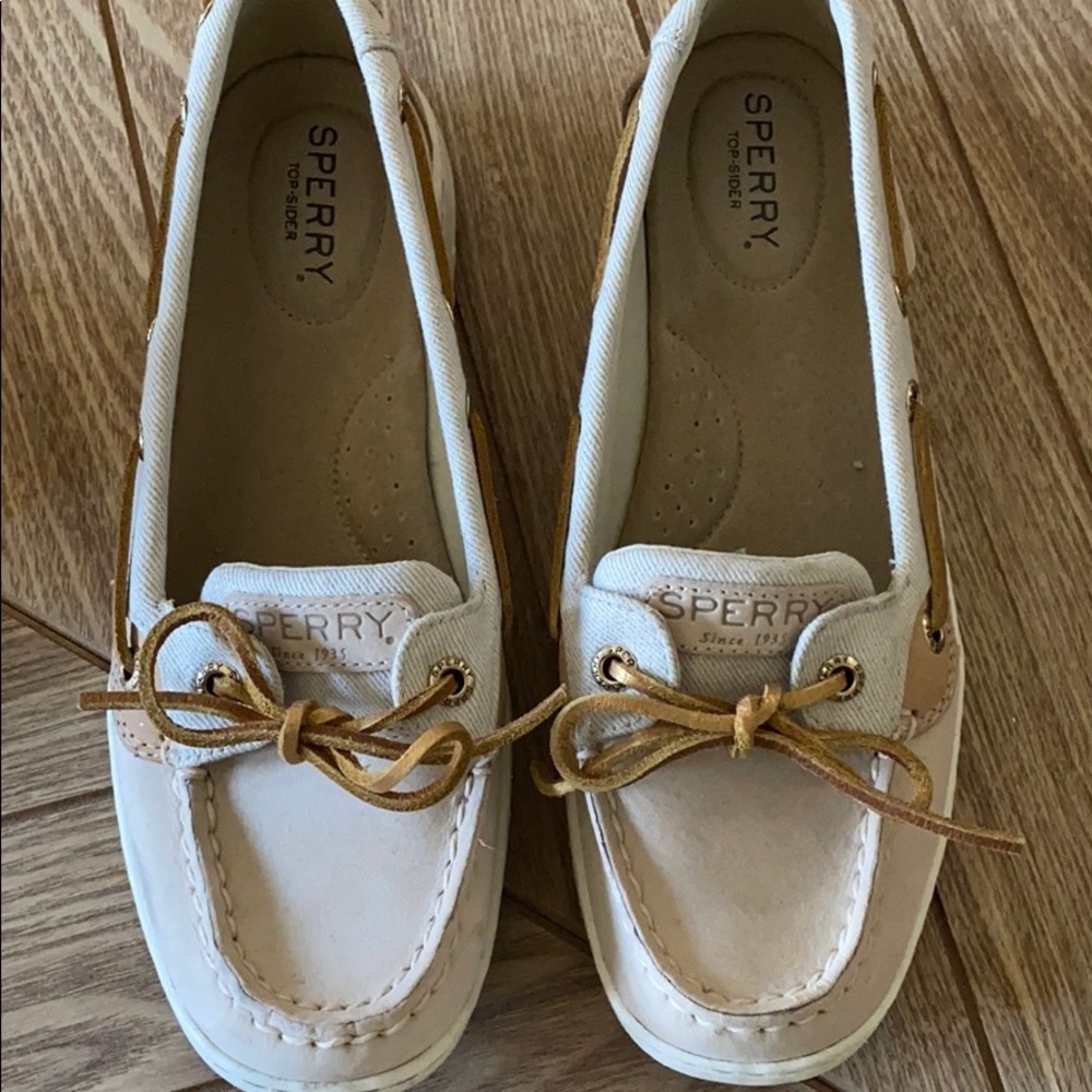 Angelfish Sperry’s